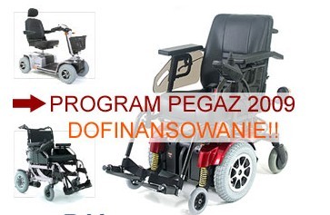 Elbląg, Pomocna dłoń dla niepełnosprawnych