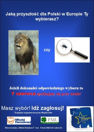 Elbląg, Zagłosuj w niedzielę Elbląg, Zagłosuj w niedzielę