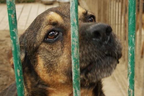 Elbląg, Pamiętajcie o nich po tej burzy...