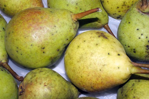 Elbląg, Bezpłatne owoce w szkole