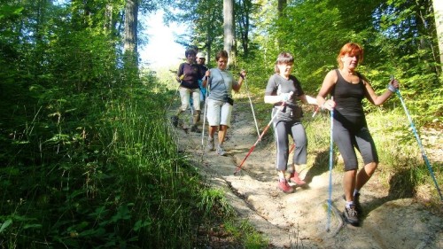 Zapisz się na kurs przewodnika Nordic Walking! Zapisz się na kurs przewodnika Nordic Walking!