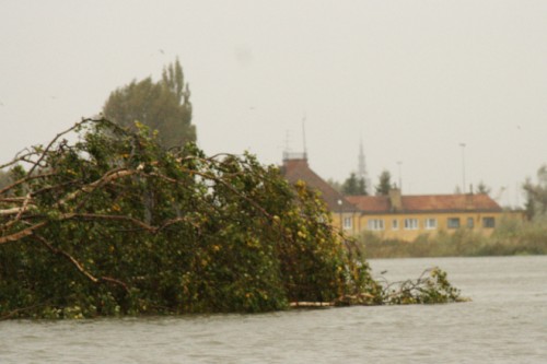 Elbląg, Elbląg, godz. 17.30