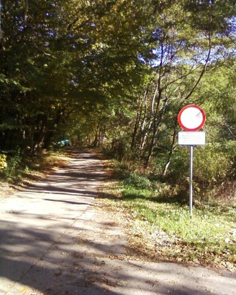 Elbląg, Las już nie dla rowerów