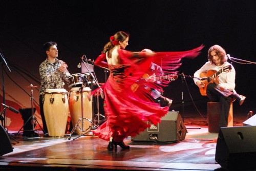 Elbląg, A może ogniste flamenco? Elbląg, A może ogniste flamenco?
