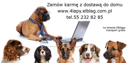 Nie dźwigaj więcej - zamów karmę z darmową dostawą do domu! Nie dźwigaj więcej - zamów karmę z darmową dostawą do domu!