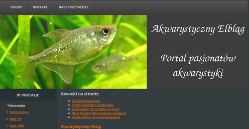 Elbląg, Portal akwarystów Elbląg, Portal akwarystów