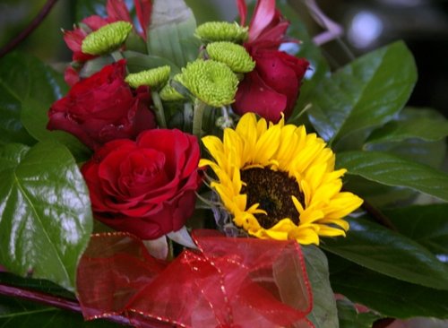Elbląg, Z okazji święta pań członkowie Stowarzyszenie „Młodzi Demokraci” obdarowali kwiatami pacjentki i personel szpitala wojewódzkiego