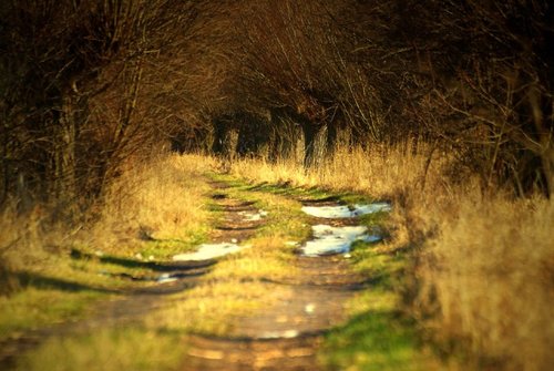 Elbląg, Wiosna – pora radosna Elbląg, Wiosna – pora radosna