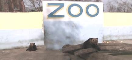 Elbląg, W Bażantarni powstanie ZOO Elbląg, W Bażantarni powstanie ZOO