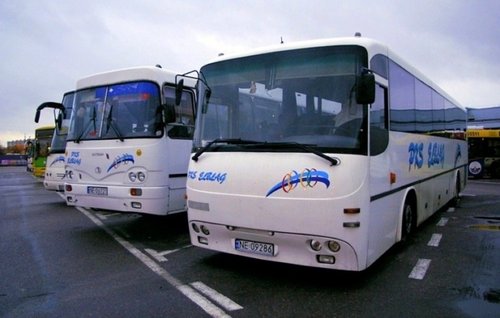 Elbląg, Specjalny autobus PKS do Warszawy wyruszy w sobotę o godz. 6 rano Elbląg, Specjalny autobus PKS do Warszawy wyruszy w sobotę o godz. 6 rano