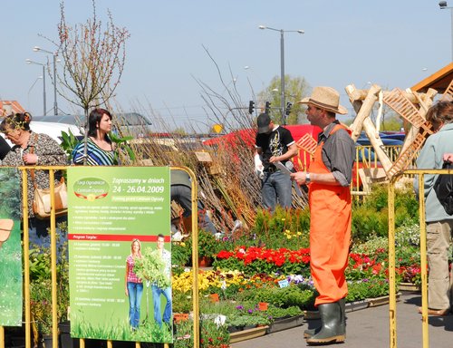 Elbląg, Zdjęcie z zeszłorocznych Targów Ogrodniczych.