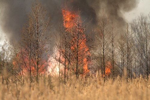 Elbląg, Strażacy w akcji Elbląg, Strażacy w akcji