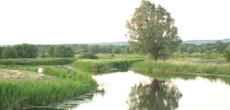Elbląg, Pętla Żuławska bez Elbląga Elbląg, Pętla Żuławska bez Elbląga