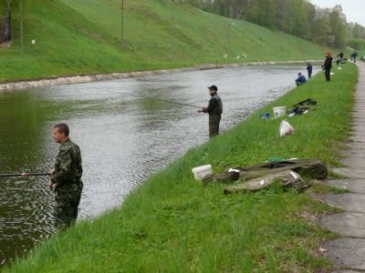 Elbląg, Taaaka ryba u pograniczników