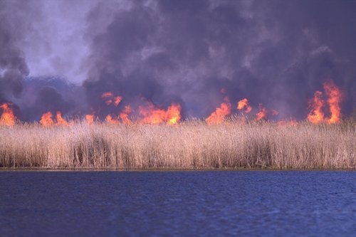 Elbląg, Pożar w rezerwacie jeziora Drużno