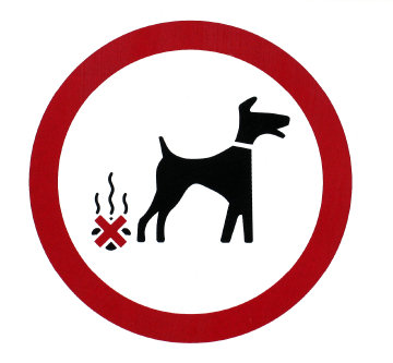 Elbląg, Kto ma to posprzatać ? Elbląg, Kto ma to posprzatać ?