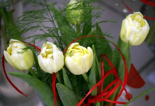 Elbląg, Pamiętajmy więc dziś o Mamach – z wdzięcznością, miłością i tęsknotą… Elbląg, Pamiętajmy więc dziś o Mamach – z wdzięcznością, miłością i tęsknotą…