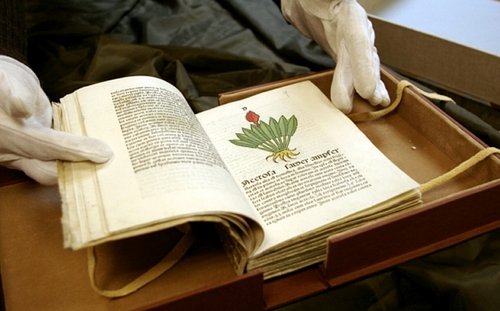 Elbląg, Herbarius Johanessa Petriego ponownie w Bibliotece Elbląskiej