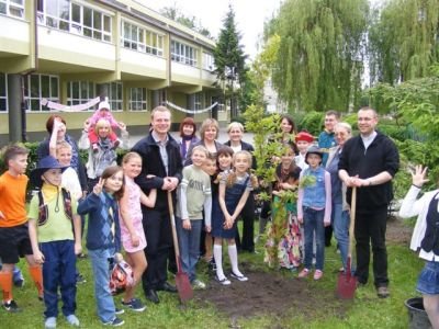 Elbląg, Katyńskie dęby w SP19