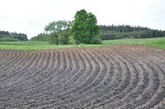 Elbląg, Wieś w wakacyjnym obiektywie Elbląg, Wieś w wakacyjnym obiektywie