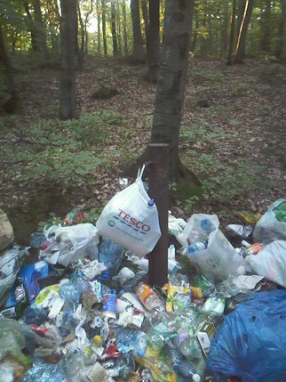 Elbląg, Kulturalnych ludzi wyrzucanie śmieci nie trudzi Elbląg, Kulturalnych ludzi wyrzucanie śmieci nie trudzi