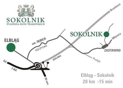 Elbląg, Mistrzostwa w Sokolniku Elbląg, Mistrzostwa w Sokolniku