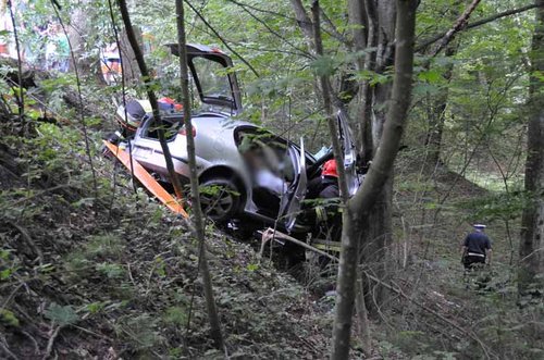 Elbląg, Seat spadł ze skarpy Elbląg, Seat spadł ze skarpy