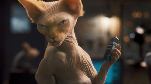 Elbląg, Kadr z filmu Elbląg, Kadr z filmu