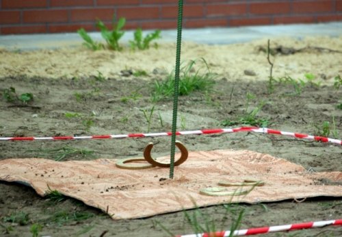 Elbląg, Turniej rzutu podkową