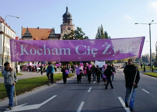 Elbląg, Marsz po zdrowie Elbląg, Marsz po zdrowie