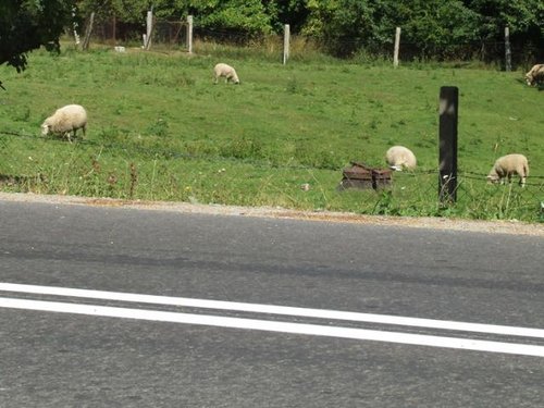 Elbląg, Ponad 120 milionów zł na przebudowę dróg