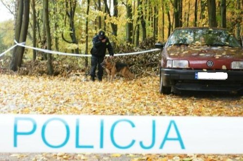 Elbląg, W poszukiwania nastolatki zaangażowane były psy tropiące Elbląg, W poszukiwania nastolatki zaangażowane były psy tropiące