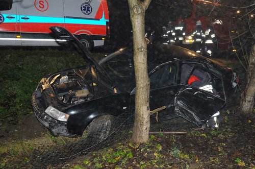 Elbląg, Audi w rowie