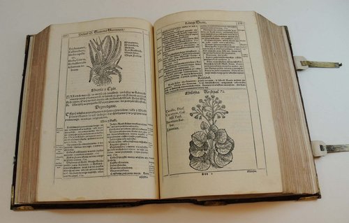 Elbląg, Trzecie "Spotkanie z arcydziełem" Elbląg, Trzecie "Spotkanie z arcydziełem"