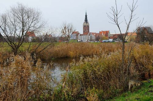 Elbląg, Fosy Staromiejskiej odmładzanie