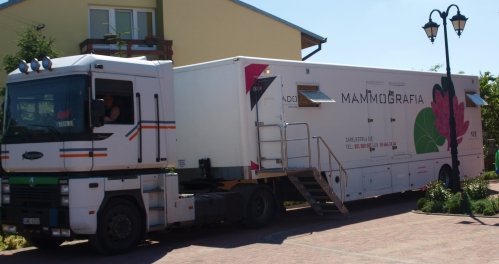 Elbląg, Mammobus w Elblągu Elbląg, Mammobus w Elblągu