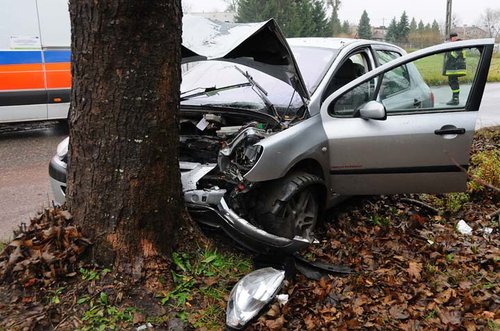 Elbląg, Peugeot uderzył w drzewo