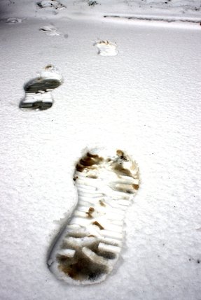 Elbląg, Po śladach pozostawionych na śniegu policjanci wytropili włamywacza