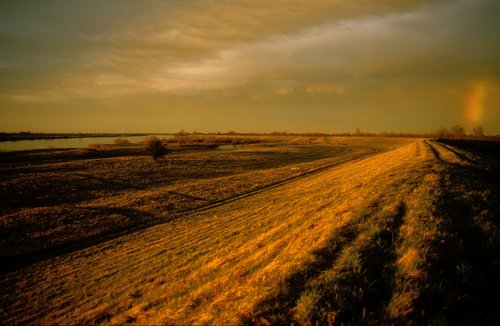 Elbląg, Żuławy - krajobraz dla konesera Elbląg, Żuławy - krajobraz dla konesera