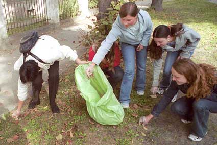 Elbląg, Dziennik Elbląski: Sprzątanie i jazda na dwóch kółkach