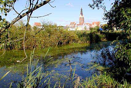 Elbląg, Fosa do renowacji