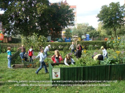 Elbląg, Osiemnastka z tytułem "Promotora ekologii"