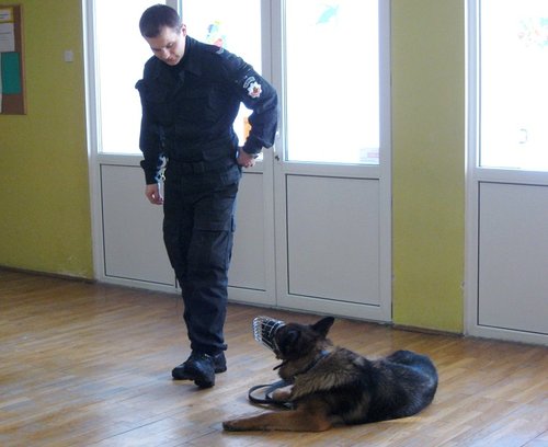 Elbląg, Ramzes odwiedził przedszkolaki