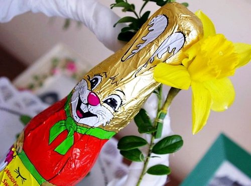 Elbląg, Na Pomorzu i Żuławach królował zajączek