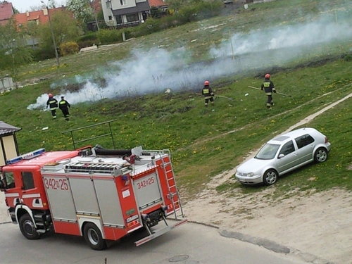 Elbląg, Płonęła trawa na Rydla Elbląg, Płonęła trawa na Rydla