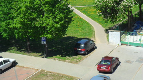 Elbląg, Przecież jesteście studentami