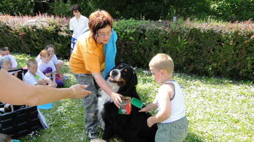Elbląg, Dzień Szkoły bez Przemocy