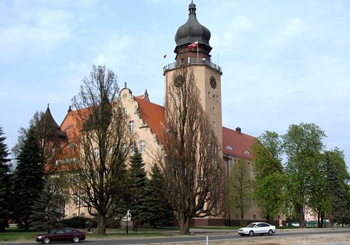 Elbląg, Konsultacje społeczne Elbląg, Konsultacje społeczne