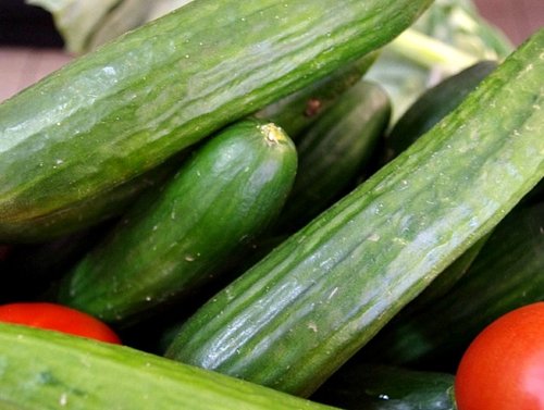 Elbląg, Kto przeprosi za ogórki? Elbląg, Kto przeprosi za ogórki?