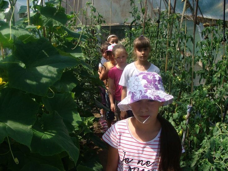 Elbląg, Drugi turnus w „Zakrzewie”